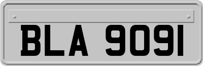BLA9091