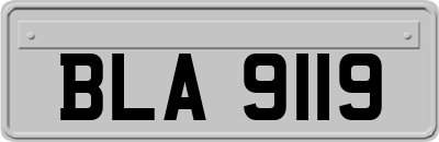 BLA9119