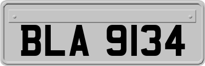 BLA9134
