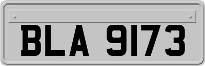 BLA9173