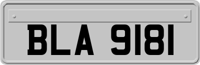 BLA9181