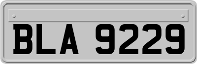 BLA9229