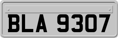 BLA9307