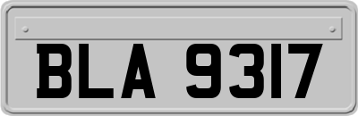BLA9317