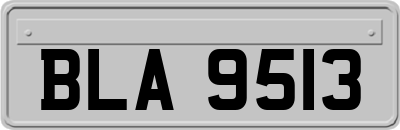 BLA9513
