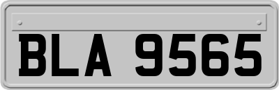 BLA9565