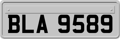 BLA9589