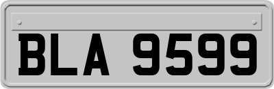 BLA9599