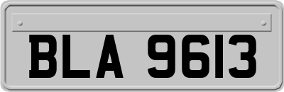 BLA9613