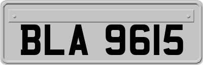 BLA9615