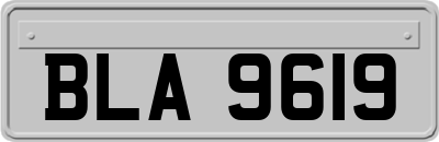 BLA9619