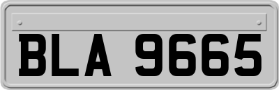 BLA9665