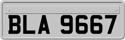 BLA9667
