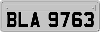 BLA9763