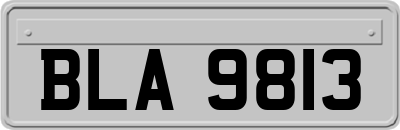 BLA9813