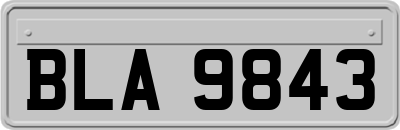 BLA9843