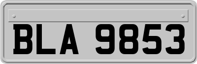 BLA9853