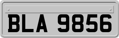 BLA9856