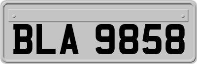 BLA9858