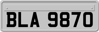 BLA9870