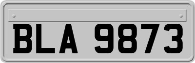 BLA9873