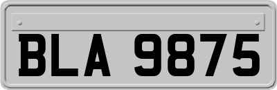 BLA9875