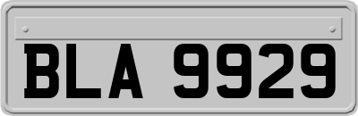 BLA9929