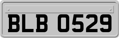 BLB0529