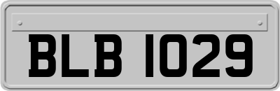 BLB1029