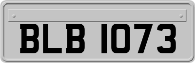 BLB1073