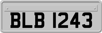 BLB1243