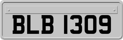 BLB1309