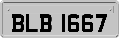 BLB1667