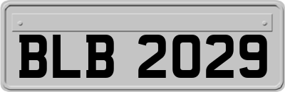 BLB2029