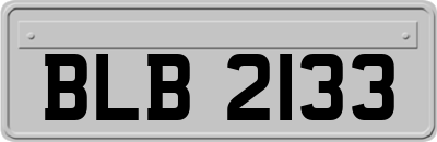 BLB2133