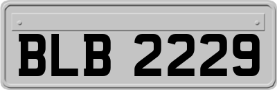 BLB2229