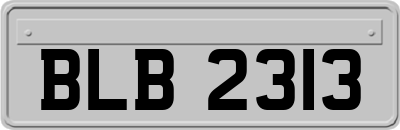BLB2313