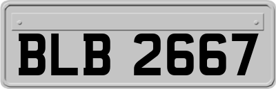 BLB2667
