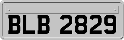 BLB2829