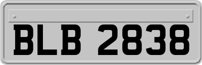BLB2838