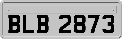 BLB2873
