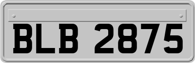 BLB2875