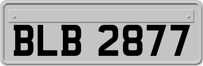 BLB2877