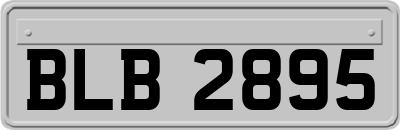BLB2895