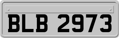 BLB2973