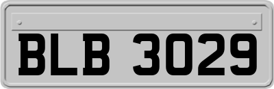 BLB3029
