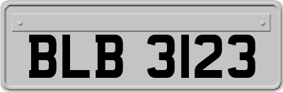 BLB3123