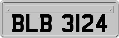BLB3124