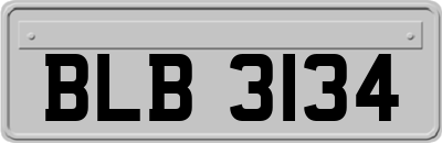 BLB3134