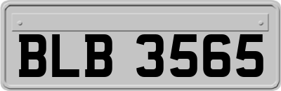 BLB3565